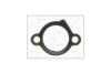 Прокладка натягувача ланцюга ГРМ TOYOTA CAMRY (V4) 2.4i, RAV 4 (II,III) 2.0, 2.4i AJUSA '00974000 (фото 1)