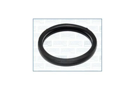 Прокладка термостату Ford Focus III 1.0i, Transit (00-) 1.8, 2.0, 2.4d Ajusa AJUSA '00975700