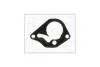 Прокладка вакуумного насоса OPEL Movano/ RENAULT Vivaro, Kangoo, Master 1.9d Ajusa AJUSA '01019200 (фото 1)
