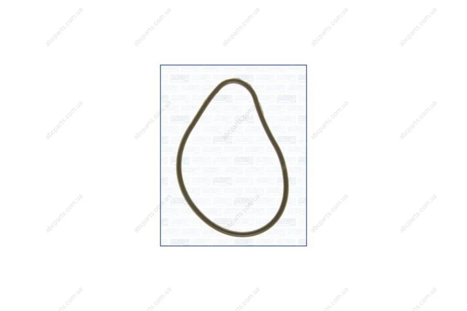 Прокладка корпуса впускного коллектора CITROEN C3 I,II 1.1, 1.4i Ajusa AJUSA '01059000 (фото 1)
