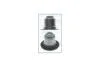 Сальник клапана MAZDA CX-7 2.3 DISi (06-09) Ajusa AJUSA '12029500 (фото 1)