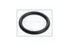 Прокладка впускного коллектора FORD C-MAX II 2.0d Ajusa AJUSA '16091100 (фото 1)