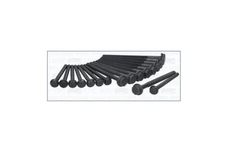 Комплект болтів ГБЦ CITROEN JUMPER II 2.2d (10шт+8шт) Ajusa AJUSA '81043800