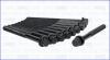 Компл. болтов ГБЦ HYUNDAI SANTA FE III, IV 2.0, 2.2d (10шт) AJUSA '81052900 (фото 2)
