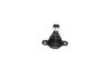 Опора шаровая передняя нижняя VW T5 (03-) APPLUS 15195AP (фото 1)