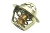 Термостат Renault Logan, Sandero, Duster, Clio, Megane, Espace 1.4-2.0i (96-) (вставка) Asam ASAM 30403 (фото 1)