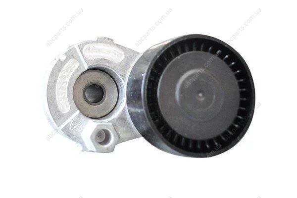 Ролик ременя генератора Renault Logan (04-), Megane (03-), Kangoo, Laguna, Sandero (08-), Duster (10-) 1,5 dCI с конд Asam ASAM 30686 (фото 1)