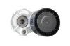Ролик ременя генератора Renault Logan (04-), Megane (03-), Kangoo, Laguna, Sandero (08-), Duster (10-) 1,5 dCI с конд Asam ASAM 30686 (фото 1)