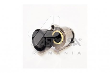 Ролик ремня генератора Renault Logan (04-), Megane (03-), Kangoo, Laguna, Sandero (08-), Duster (10-) 1,5 dCI с конд ASAM 30686