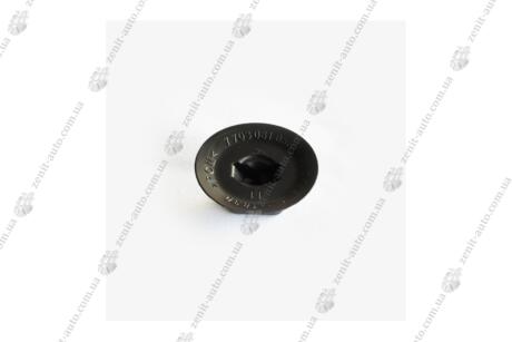 Кліпса кріплення обшивки багажника Renault Duster, Megane III, Clio III, Laguna III, Scenic(10 шт) ASAM 30885