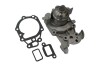 Насос водяний Renault Logan, Sandero, Clio, Kangoo, Twingo 1.2i (01-) ASAM 30894 (фото 2)