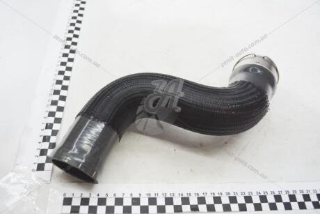 Патрубок інтеркулера 1,5dci Renault Megane III, Scenic III 2008- ASAM 73582