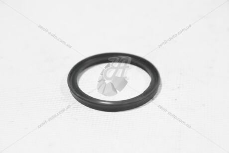 Прокладка зливної пробки Renault Scenic III, Clio IV, Captur, Duster, Lodgy, Logan II, Megane III 1.5 dCi ASAM 76937