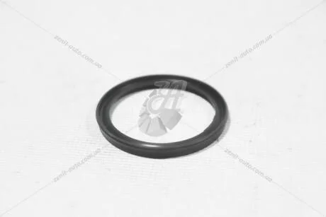 Прокладка зливної пробки Renault Scenic III, Clio IV, Captur, Duster, Lodgy, Logan II, Megane III 1.5 dCi Asam ASAM 76937