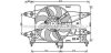 Вентилятор охолодження радіатора (з дифузором) Fiat Doblo (01-) 1.4i, 1.6i AVA AVA COOLING 'FT7560 (фото 1)
