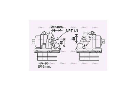 Радіатор масляний Citroen Jumper (06-)/Peugeot Boxer (06-)/Ford Transit (06-), Transit Custom (06-) 2.2 HDI AVA AVA COOLING 'PE3400H