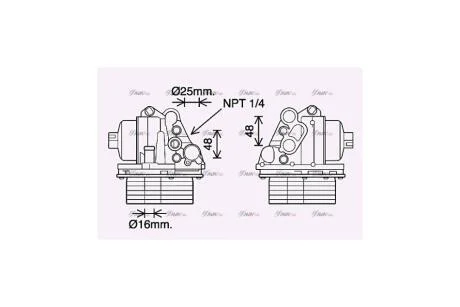 Радіатор масляний Citroen Jumper (06-)/Peugeot Boxer (06-)/Ford Transit (06-), Transit Custom (06-) 2.2 HDI (PE3400H) AVA AVA COOLING 'PE3400H