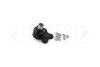 Опора шаровая рычага передн лев (кон 20mm) RENAULT KANGOO (08-), MERCEDES-BENZ CITAN (12-) AYD 92-07916 (фото 1)