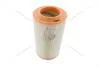 Фільтр повітряний Fiat Ducato (06-)/ Citroen Jumper II/ Opel Movano C CHAMPION CAF100449C (фото 1)