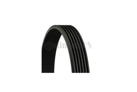 Ремінь поліклиновий Honda Accord 2,0i 2,3i 00>03, Nissan Primera P12 1,6 1,8 Contitech 6PK1100