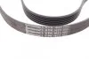 Ремень поликлиновый Opel Astra H 1,7d 04> ContiTech Contitech 6PK1623 (фото 3)