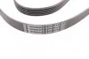 Ремень поликлиновый Chevrolet Evanda 2,0i 05> ContiTech Contitech 6PK1885 (фото 3)