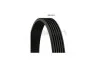 Ремень поликлиновый Mazda 3 1,6i 03>07 ContiTech Contitech 6PK2013 (фото 1)