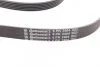 Ремень поликлиновый MB ML164 350i 05>09, S221 280i 350i 500i ContiTech Contitech 6PK2404 (фото 3)