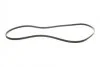 Ремень поликлиновый Porsche Cayenne 4,5i 02>06, 4,8i 07>, 10> ContiTech Contitech 7DPK2880 (фото 4)