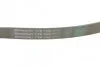 Ремень поликлиновый Nissan Note, Tiida 1,6i 06> ContiTech Contitech 7PK1145 (фото 3)