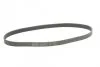 Ремень поликлиновый Nissan Note, Tiida 1,6i 06> ContiTech Contitech 7PK1145 (фото 4)