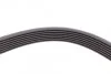 Ремень поликлиновый Honda Accord 2,0i 03> ContiTech Contitech 7PK1760 (фото 3)