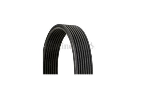 Ремінь поліклиновий BMW 7F01 740i 11>, X6E71 35i 11> Contitech 8DPK1833