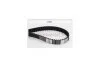Ремінь ГРМ Ford Fiesta 1,25i 1,4i 1,6i 01>08, 08>, Focus 1,6i 04>10, 10> ContiTech Contitech CT881