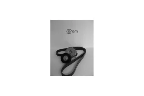 Ремень ГРМ, комплект (ролики + ремень) Fiat Doblo (04-) 1.3d, Panda (12-) 1.3d Coram CORAM KTC987.10