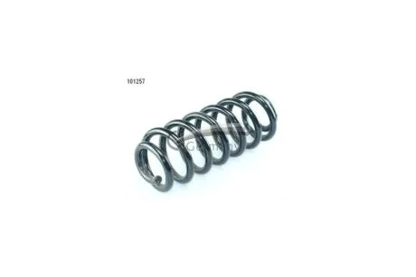 Пружина подвески задняя (кратно 2) BMW X5(E53) (00-) (14.101.257) CS Germany '14.101.257