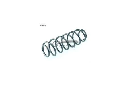 Пружина подвески задняя (кратно 2) FORD Fiesta V (01-10) CS Germany '14504051