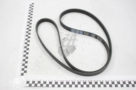 Ремень привідний поликліновий Subaru 3.6 (07-)/Renault Megane 2.0, Citroen Xantia (-03) Dongil 6PK1649
