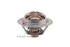 Термостат Renault Megane III (09-), Fluence (10-), Koleos (13-) 2.0 16V, 2.0 TCE (7.8713) Facet FACET '78713 (фото 1)