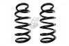 Пружина подвески перед. Renault Trafic II /Opel Vivaro/Nissan Primastar (01-14) Fast FAST FT12249 (фото 1)