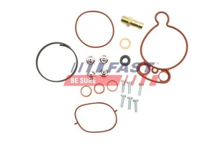 Ремкомплект вакуумного насоса гальмівного VW Crafter (06-) Fast FAST FT36031