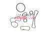 Прокладка радіатора масляного Renault Master 2.3 dCi (06-) Fast FAST FT48930 (фото 1)