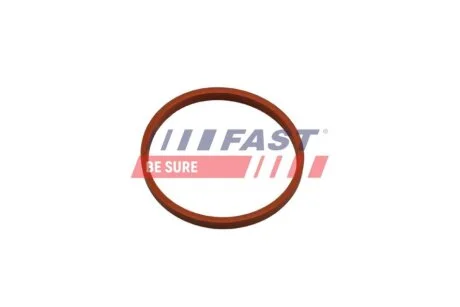 Прокладка патрубка інтеркулера Renault Kangoo 1.5 DCI Fast FAST FT48932