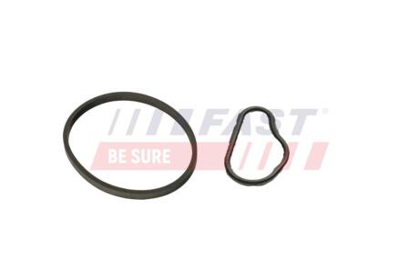 Комплект прокладок вакуумного насоса Citroen Berlingo (08-) 1.6 HDI/BLUEHDI FAST 'FT48943