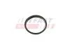 Прокладка вакуумного насоса Ford Transit (13-) 2.2TDCI (FT49853) Fast FAST 'FT49853 (фото 1)