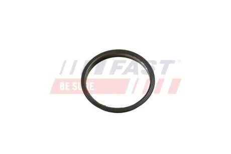 Прокладка вакуумного насоса Ford Transit (13-) 2.2TDCI (FT49853) Fast FAST 'FT49853