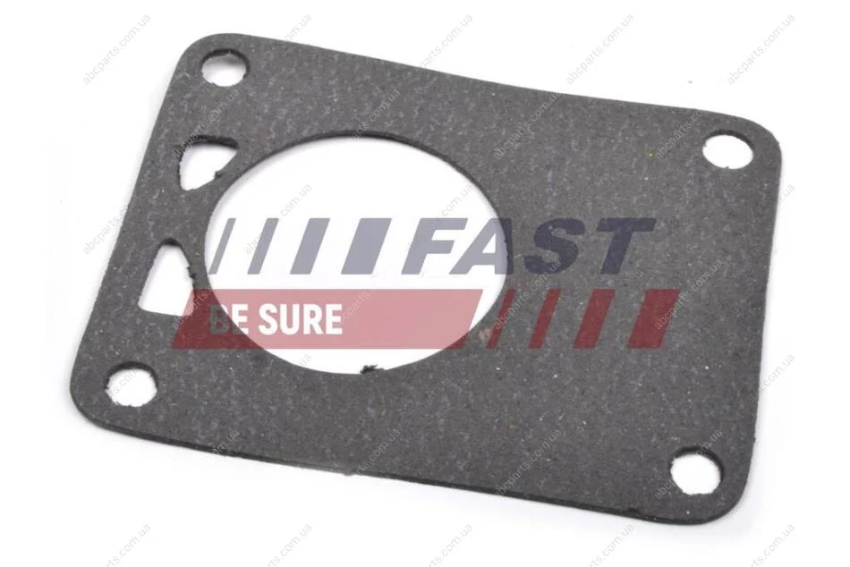 Прокладка вакуумного насоса Fiat Ducato (02-) (FT49901) Fast FAST 'FT49901 (фото 1)