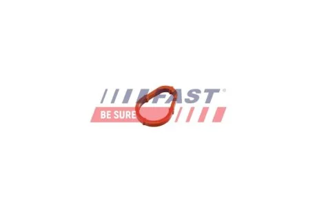 Прокладка вакуумного насоса Citroen Nemo/Fiat Ducato 1.4/2.2HDI Fast FAST FT50702