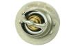 Термостат Renault Kangoo (97-), Megane II, Logan I, Duster (10-18), Trafic II 1.4, 1.6, 2.0i FAST 'FT58009 (фото 1)