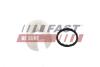 Ремкомплект механізму куліси Fiat Doblo (00-) FAST 'FT73215 (фото 1)
